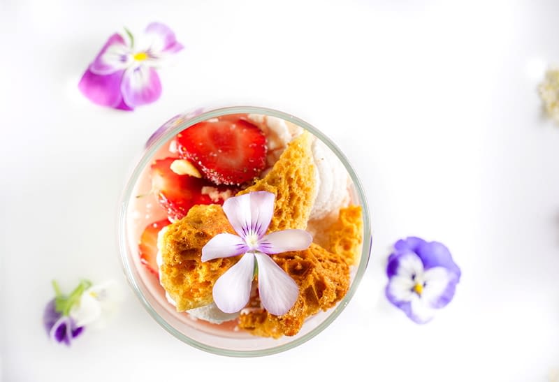 Edible Flower Cocktails & Botanical Treats