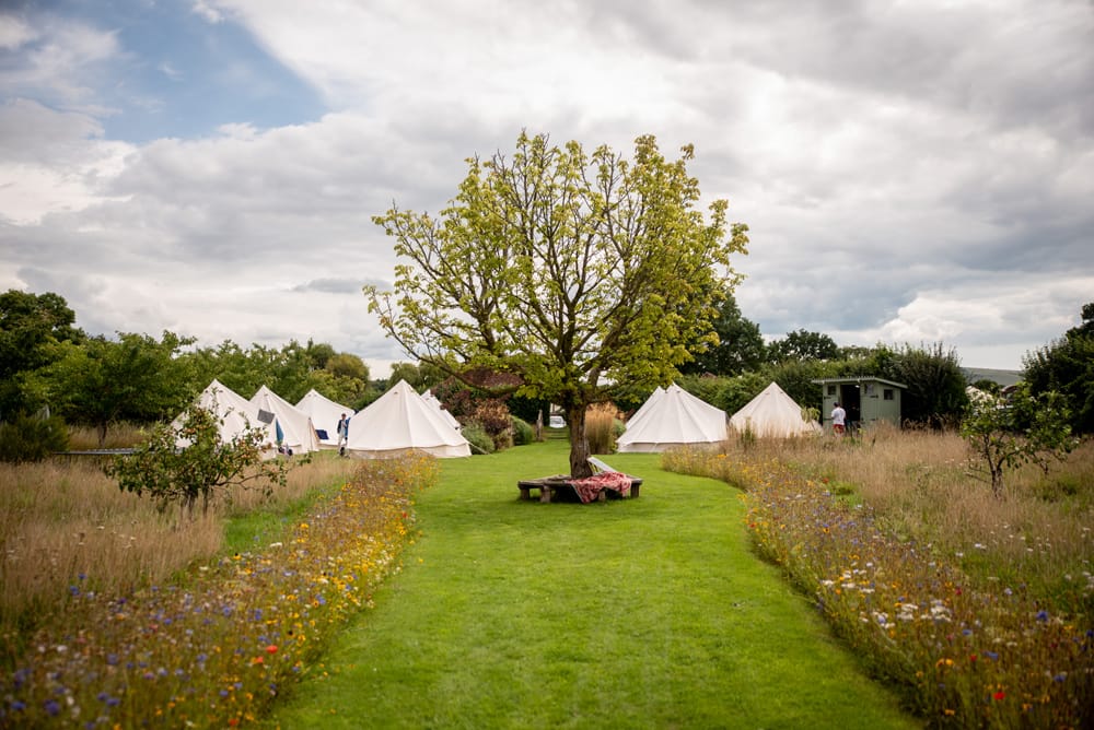Wonderland Festival Weddings