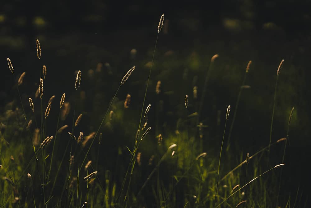 Image by <a class="text-p3" href="http://martamayphotography.co.uk" target="_blank">Marta May Photography</a>.