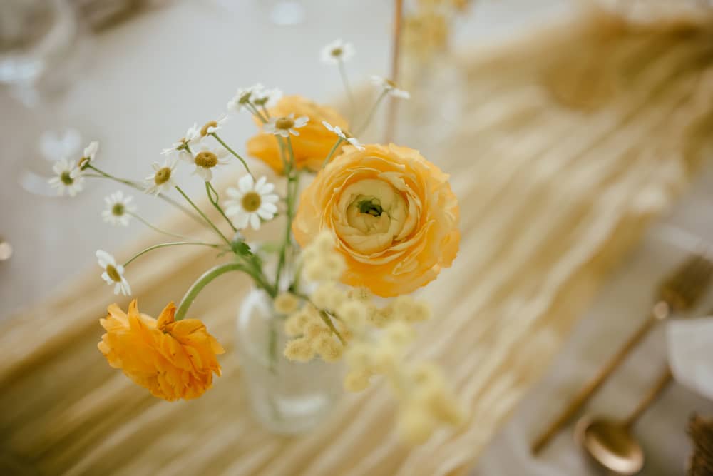 Image by <a class="text-p3" href="https://www.ajfeatherphotography.com" target="_blank">AJ Feather Photography</a>.