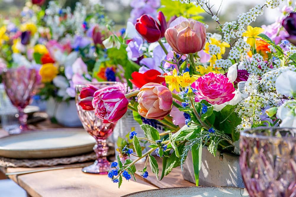 Image by <a class="text-p3" href="https://www.lauradownham.co.uk" target="_blank">Laura Downham Photography</a>.