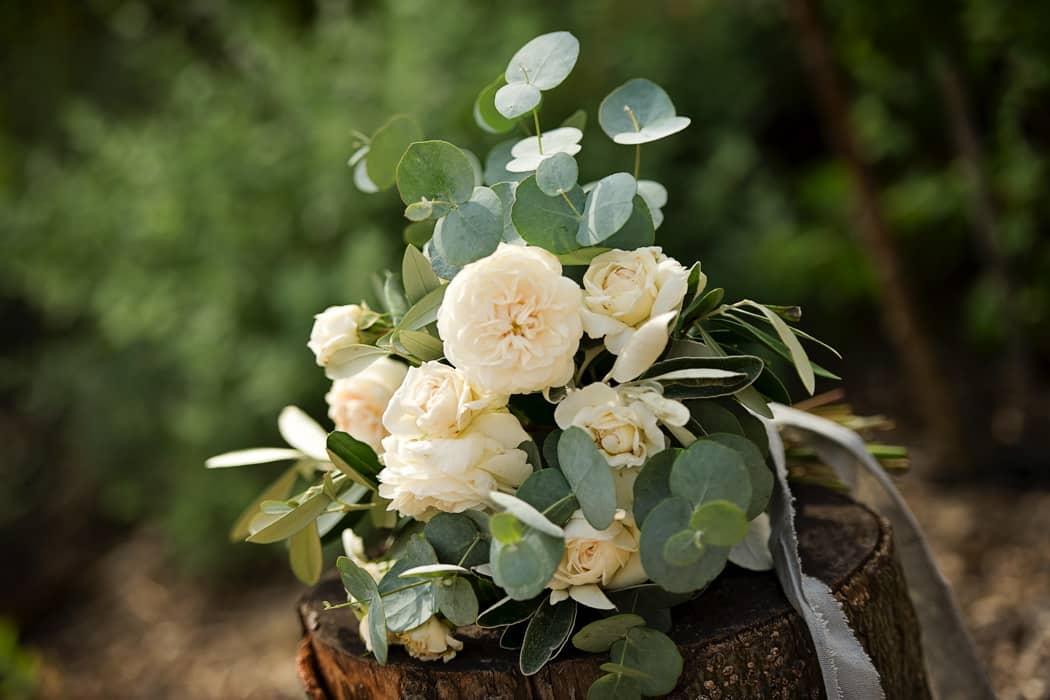 Image by <a class="text-p3" href="http://www.swantonmorleystudios.co.uk" target="_blank">Swanton Morley Studios</a>.
