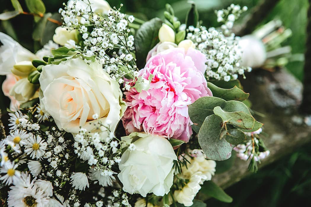 Image by <a class="text-p3" href="https://www.abigailwhite.co.uk" target="_blank">Abigail White Photography</a>.