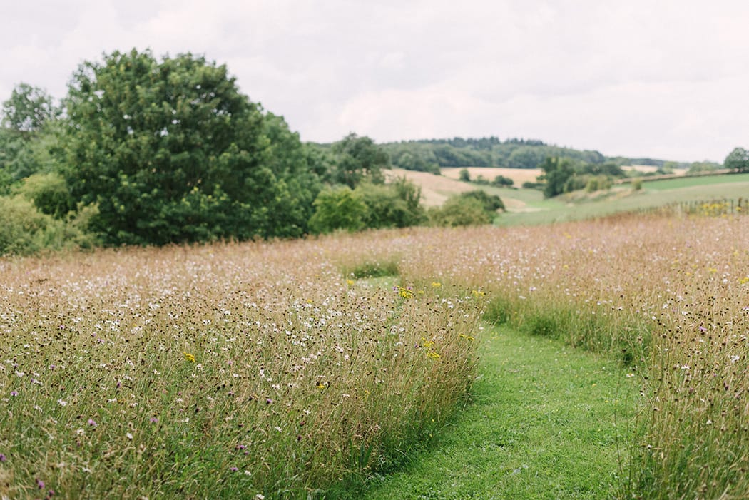 Image by <a class="text-p3" href="http://www.hannahduffy.com" target="_blank">Hannah Duffy Photography</a>.