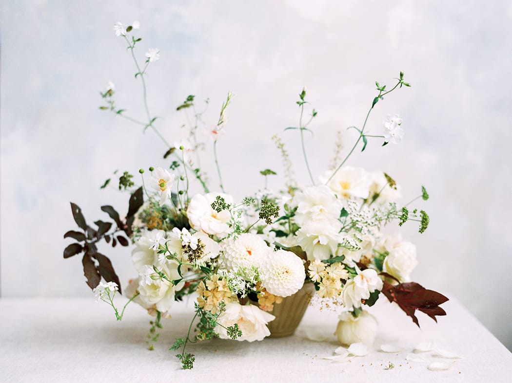 Image by <a class="text-p3" href="http://www.hannahduffy.com" target="_blank">Hannah Duffy Photography</a>.