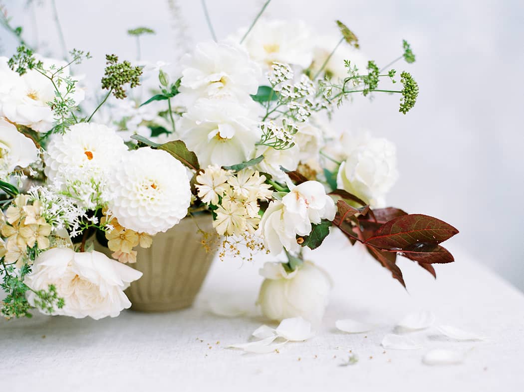 Image by <a class="text-p3" href="http://www.hannahduffy.com" target="_blank">Hannah Duffy Photography</a>.
