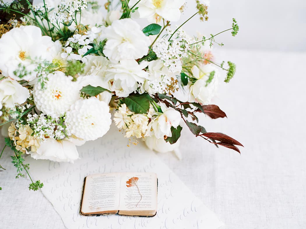 Image by <a class="text-p3" href="http://www.hannahduffy.com" target="_blank">Hannah Duffy Photography</a>.