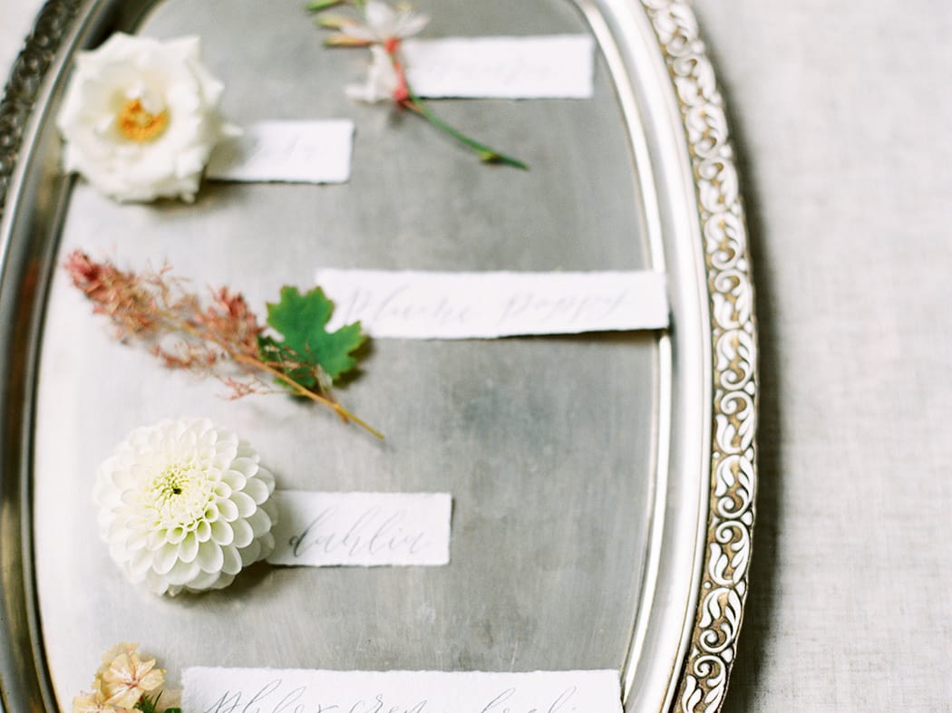 Image by <a class="text-p3" href="http://www.hannahduffy.com" target="_blank">Hannah Duffy Photography</a>.