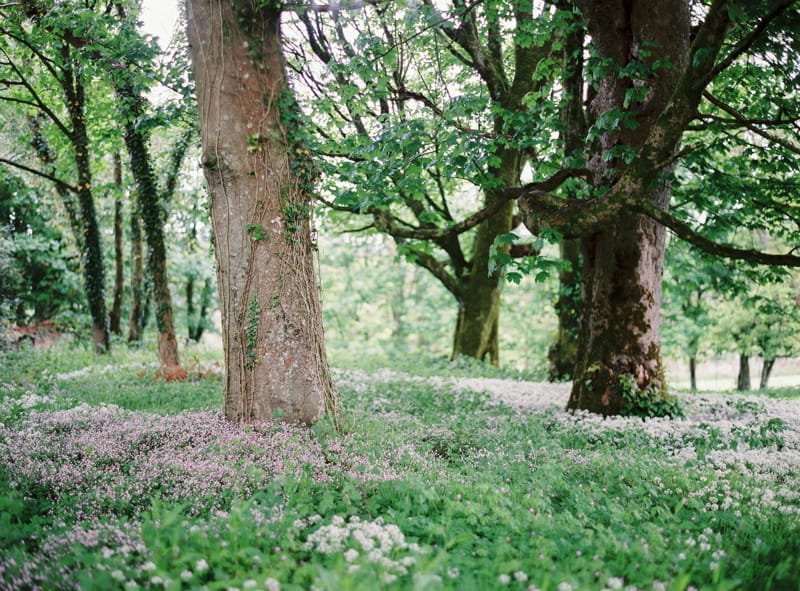 Image by <a class="text-p3" href="http://www.lucydavenport.co.uk" target="_blank">Lucy Davenport Photography</a>.
