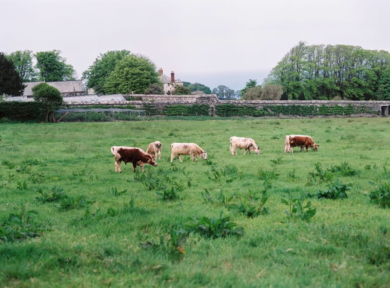Image by <a class="text-p3" href="http://www.lucydavenport.co.uk" target="_blank">Lucy Davenport Photography</a>.