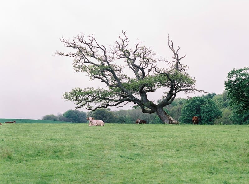 Image by <a class="text-p3" href="http://www.lucydavenport.co.uk" target="_blank">Lucy Davenport Photography</a>.