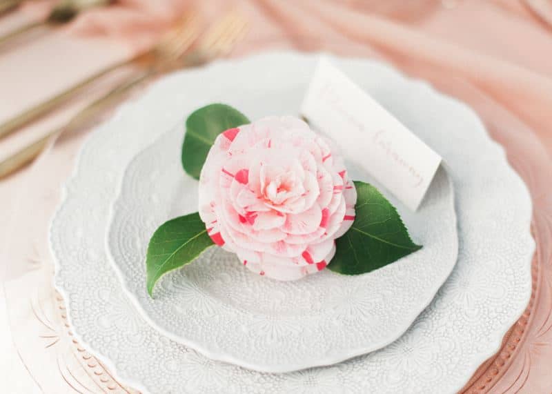 Image by <a class="text-p3" href="http://www.katenielen.com" target="_blank">Kate Nielen Photography</a>.