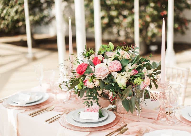 Image by <a class="text-p3" href="http://www.katenielen.com" target="_blank">Kate Nielen Photography</a>.