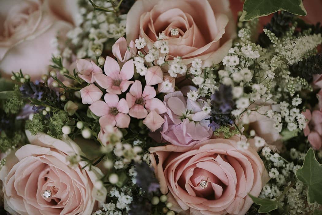 Image by <a class="text-p3" href="https://www.jamiemacphotography.com" target="_blank">Jamie Mac Photography</a>.