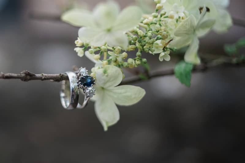 Image by <a class="text-p3" href="http://libertypearlphotography.com" target="_blank">Liberty Pearl Photography</a>.