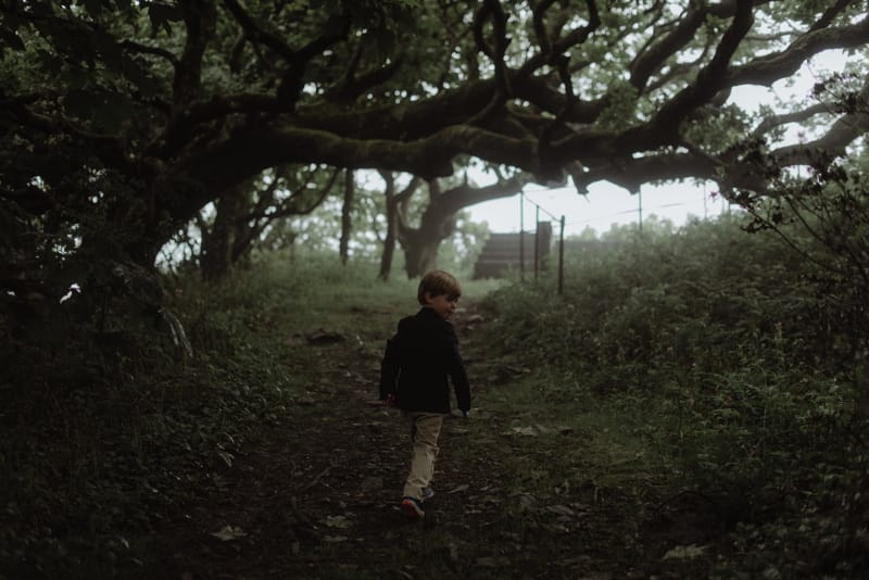 Image by <a class="text-p3" href="http://thekitcheners.co.uk" target="_blank">The Kitcheners</a>.