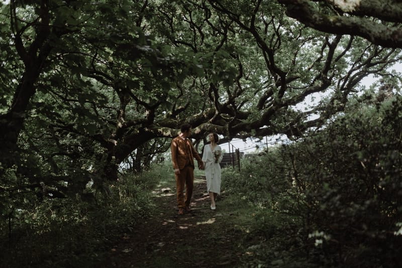 Image by <a class="text-p3" href="http://thekitcheners.co.uk" target="_blank">The Kitcheners</a>.