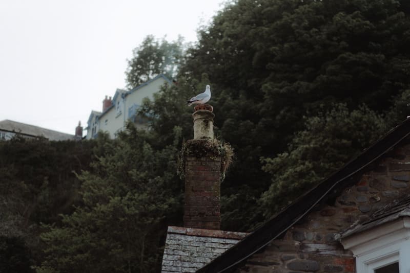 Image by <a class="text-p3" href="http://thekitcheners.co.uk" target="_blank">The Kitcheners</a>.