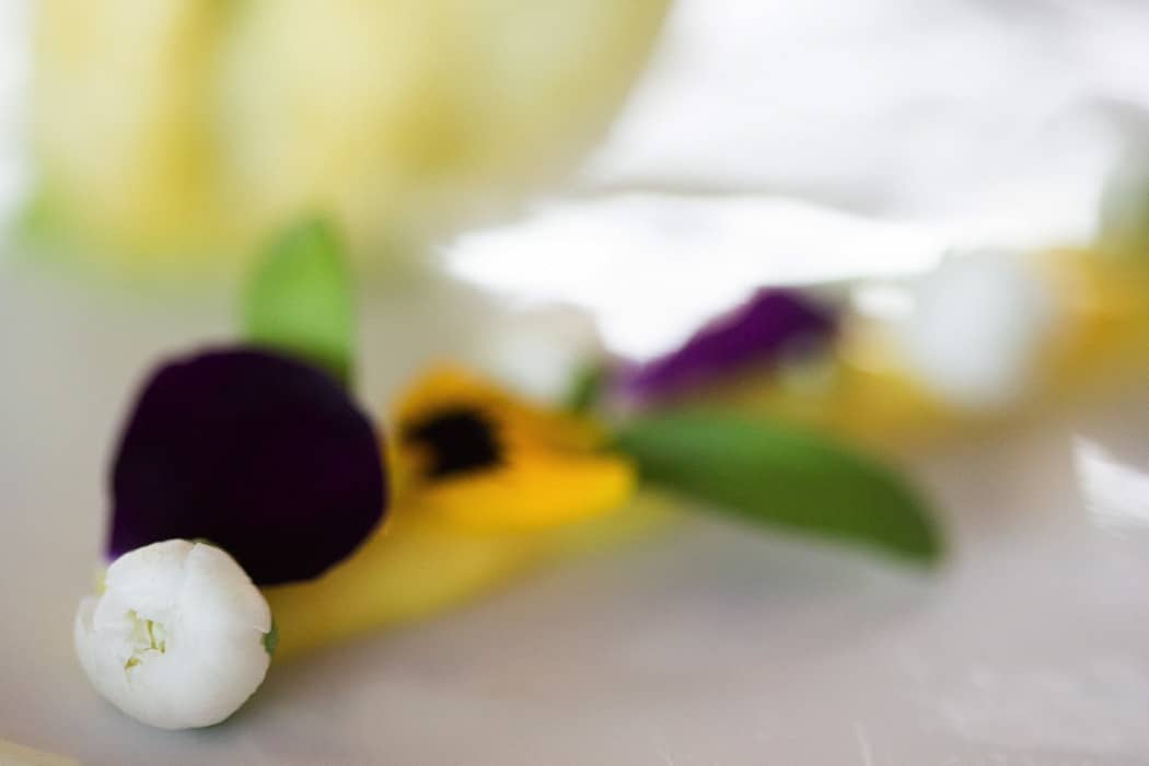 Image by <a class="text-p3" href="http://www.lucydavenport.co.uk" target="_blank">Lucy Davenport Photography</a>.