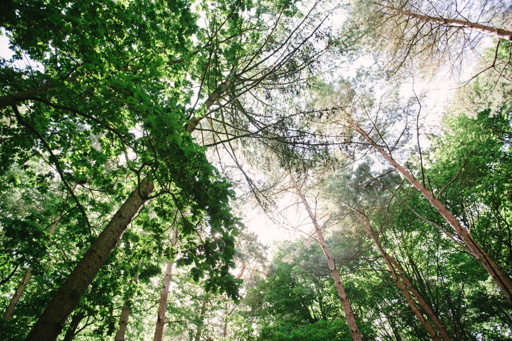 Image by <a class="text-p3" href="http://www.hannahduffy.com" target="_blank">Hannah Duffy Photography</a>.