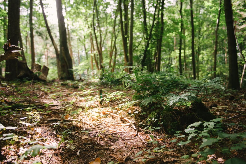 Image by <a class="text-p3" href="http://www.hannahduffy.com" target="_blank">Hannah Duffy Photography</a>.
