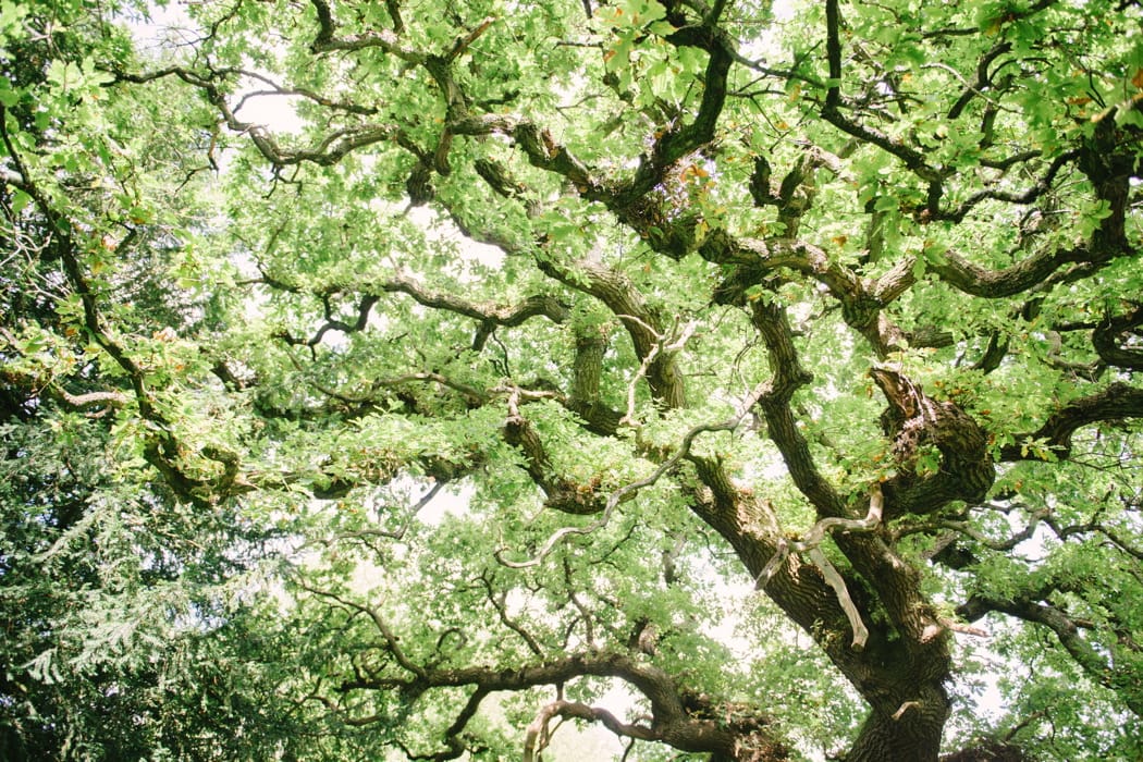 Image by <a class="text-p3" href="http://www.hannahduffy.com" target="_blank">Hannah Duffy Photography</a>.