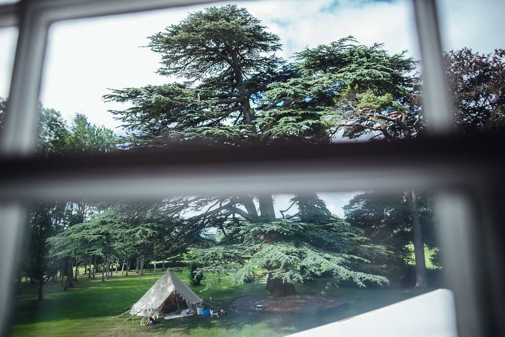 Image by <a class="text-p3" href="http://www.mattwillisphotography.com" target="_blank">Matt Willis Photography</a>.