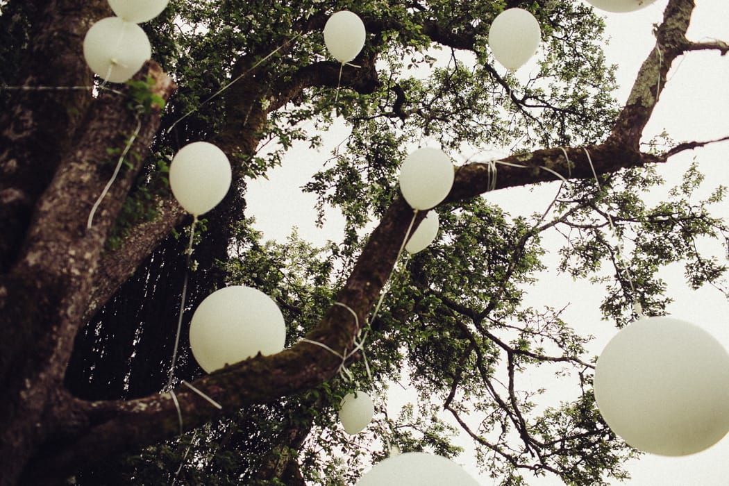 Image by <a class="text-p3" href="http://flowertoss.com" target="_blank">Flowertoss Weddings</a>.