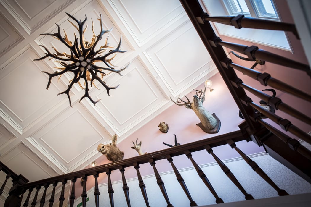 Image courtesy of Paschoe House.