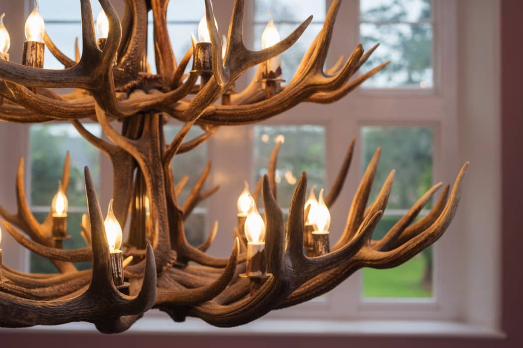 Image courtesy of Paschoe House.