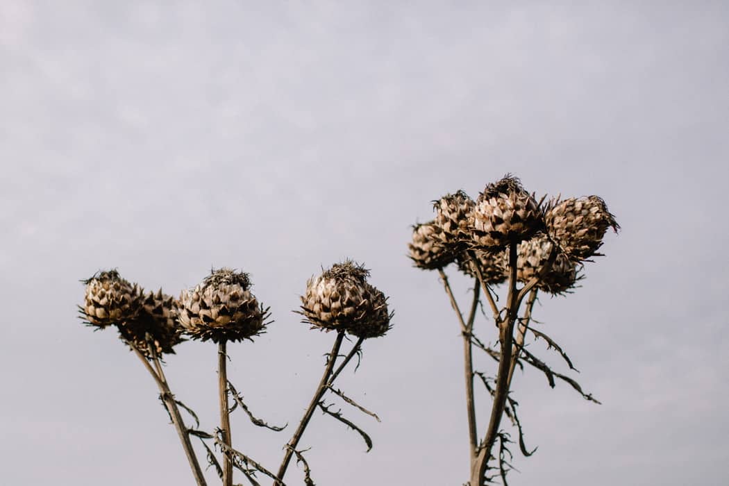 Image by <a class="text-p3" href="http://www.rebeccagoddardphotography.com" target="_blank">Rebecca Goddard Photography</a>.