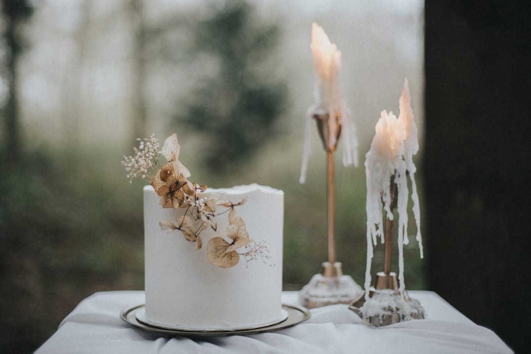 Image by <a class="text-p3" href="https://graceelizabethphoto.com" target="_blank">Grace Elizabeth Photography</a>.