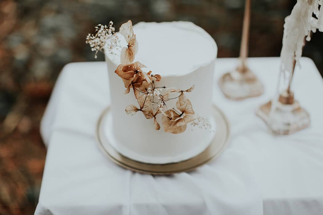 Image by <a class="text-p3" href="http://www.nicoladixonphotography.com" target="_blank">Nicola Dixon Photography</a>.