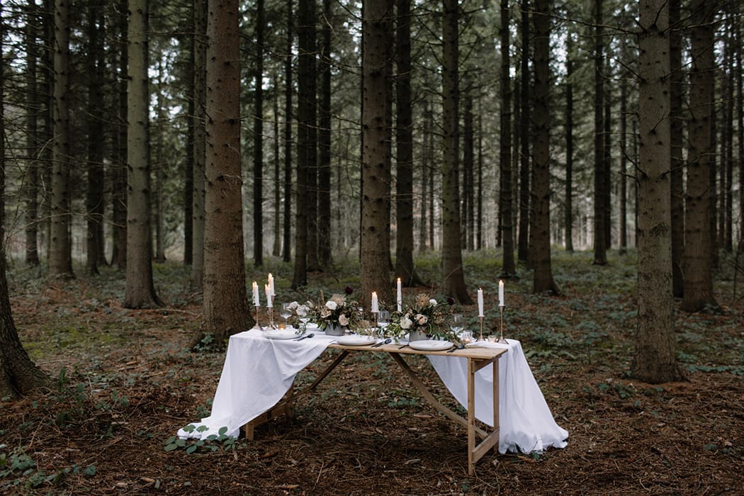 Image by <a class="text-p3" href="http://www.rebeccagoddardphotography.com" target="_blank">Rebecca Goddard Photography</a>.