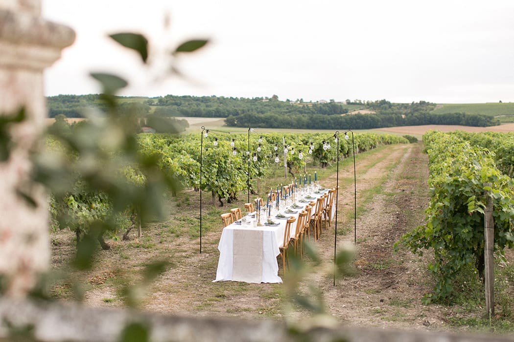 Image by <a class="text-p3" href="http://www.annelimarinovich.com" target="_blank">Anneli Marinovich Photography</a>.