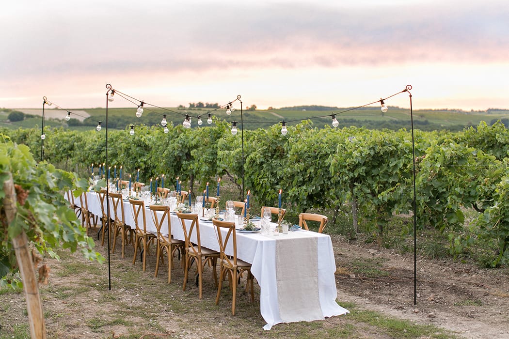 Image by <a class="text-p3" href="http://www.annelimarinovich.com" target="_blank">Anneli Marinovich Photography</a>.