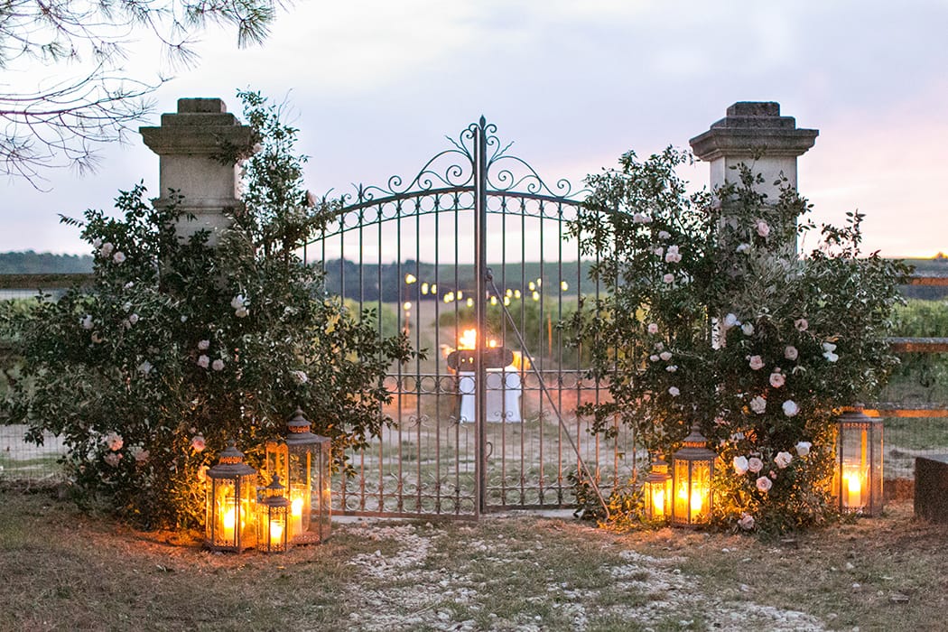 Image by <a class="text-p3" href="http://www.annelimarinovich.com" target="_blank">Anneli Marinovich Photography</a>.