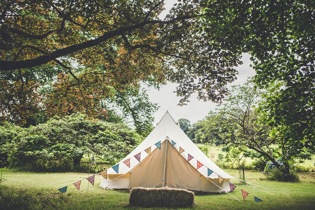 Image by <a class="text-p3" href="http://amyshorephotography.com" target="_blank">Amy Shore Photography</a>.