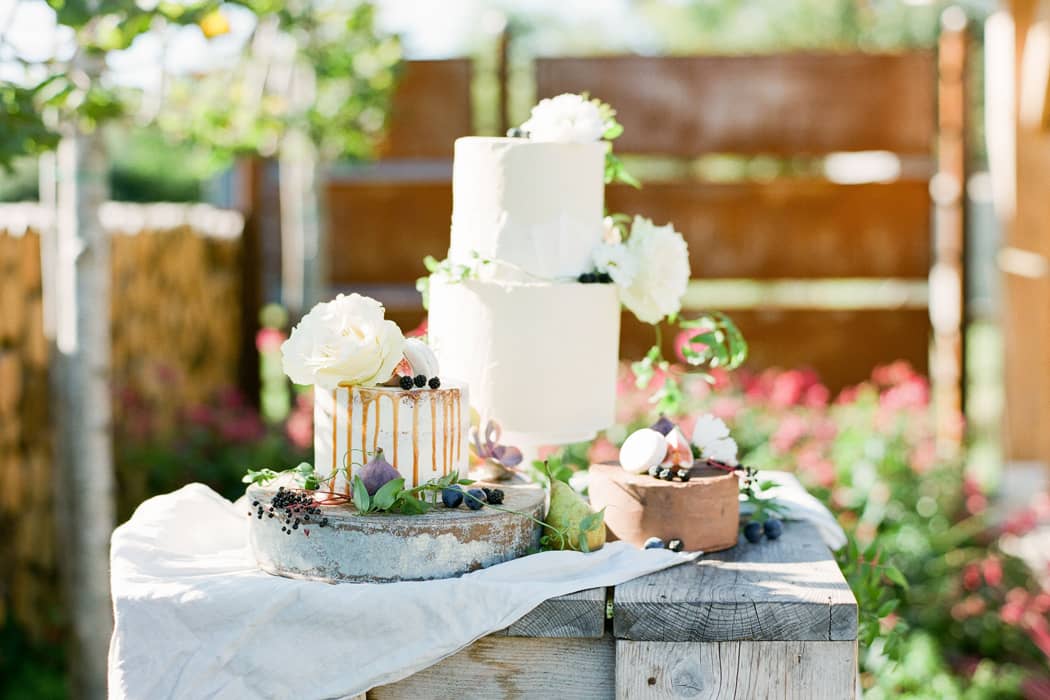 Image by <a class="text-p3" href="https://www.helencawte.com" target="_blank">Helen Cawte Photography</a>.