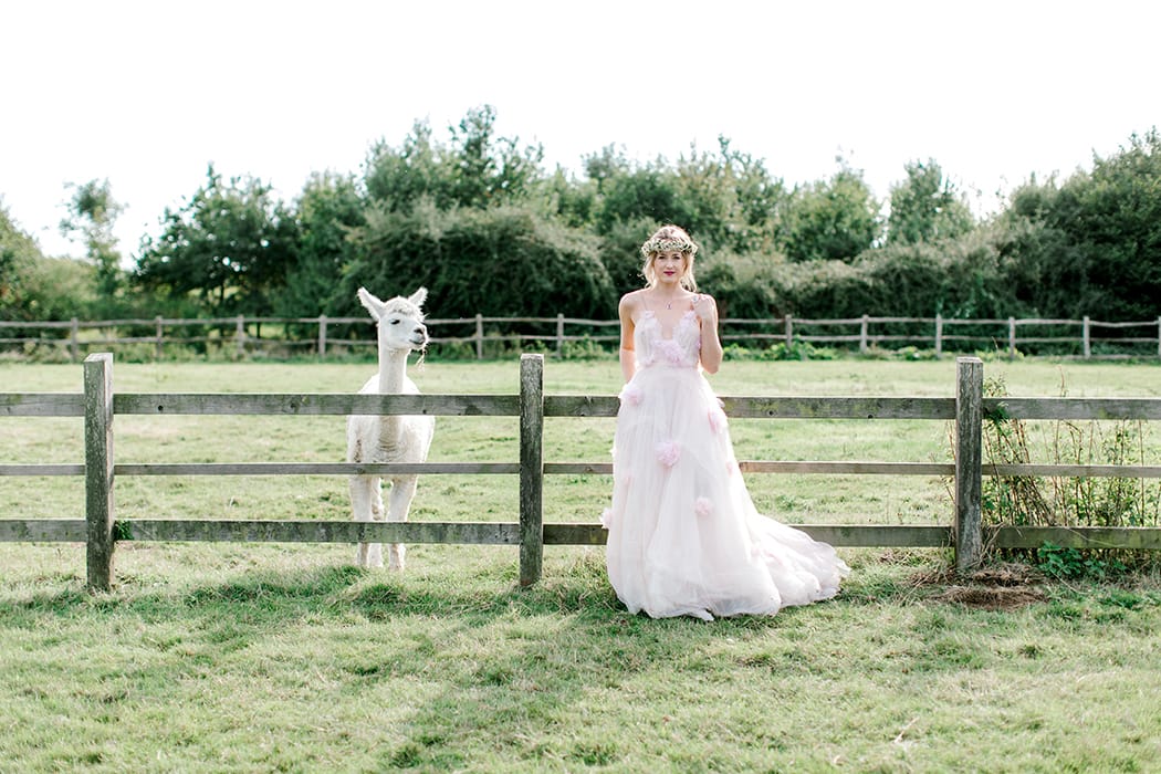 Image by <a class="text-p3" href="https://www.helencawte.com" target="_blank">Helen Cawte Photography</a>.
