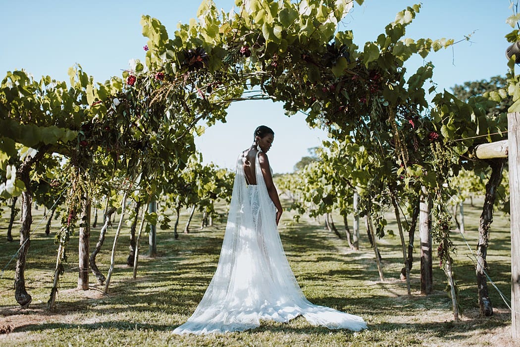 Image by <a class="text-p3" href="https://www.lauramarthaphotography.com" target="_blank">Laura Martha Photography</a>.