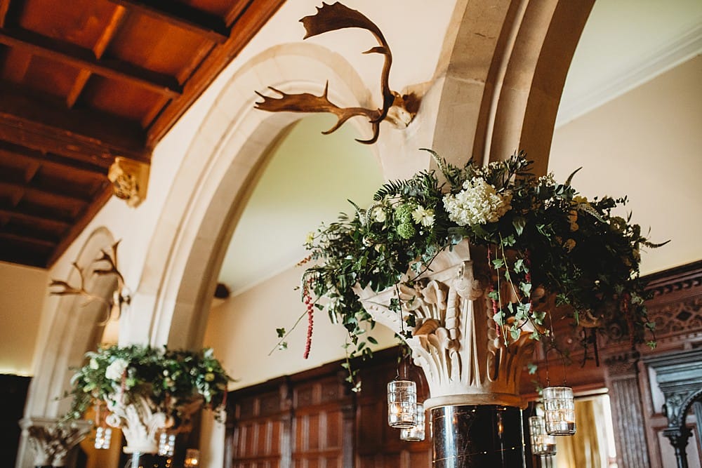 Image by <a class="text-p3" href="https://hollycollingsphotography.com" target="_blank">Holly Collings Photography</a>.