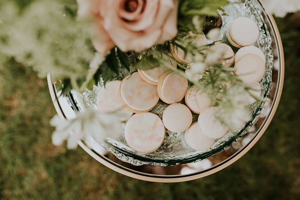Image by <a class="text-p3" href="http://veronikaward.com" target="_blank">Veronika Ward Photography</a>.