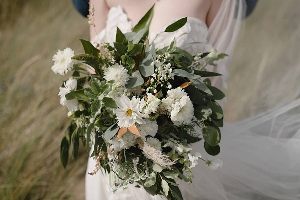 Image by <a class="text-p3" href="https://www.saltyseaphotography.com" target="_blank">Salt & Sea Photography Co.</a>