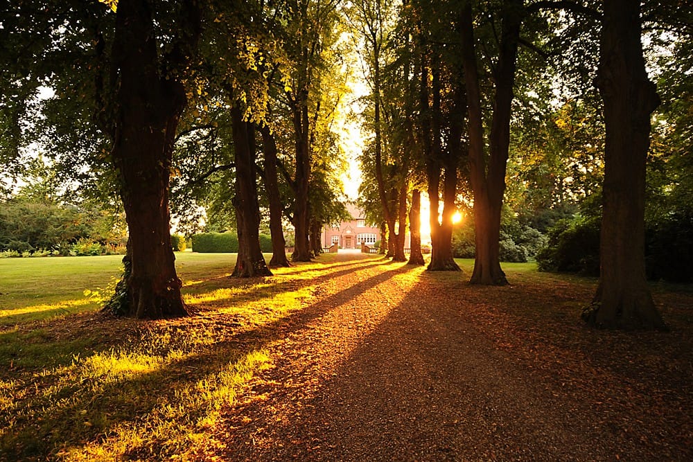 Image by <a class="text-p3" href="http://www.swantonmorleystudios.co.uk" target="_blank">Swanton Morley Studios</a>.