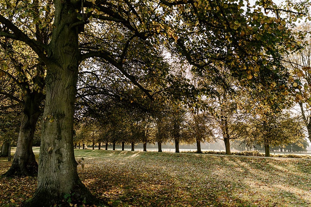 Image by <a class="text-p3" href="https://www.carlawhittingham.co.uk" target="_blank">Carla Whittingham Photography</a>.