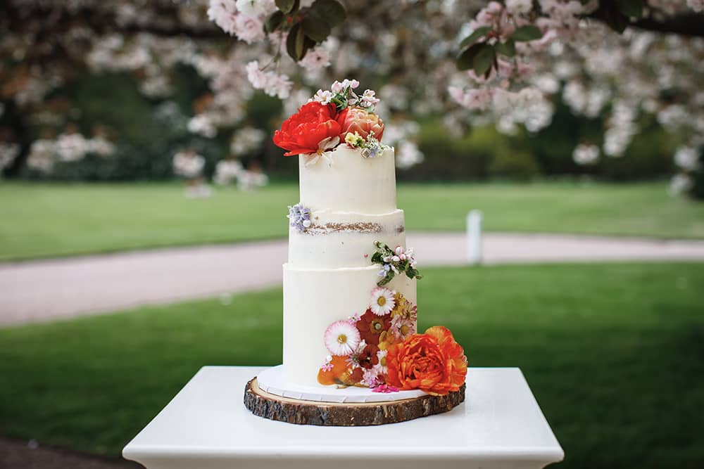 Image by <a class="text-p3" href="https://www.esmesaville.com/" target="_blank">Esme Saville Photography</a>.