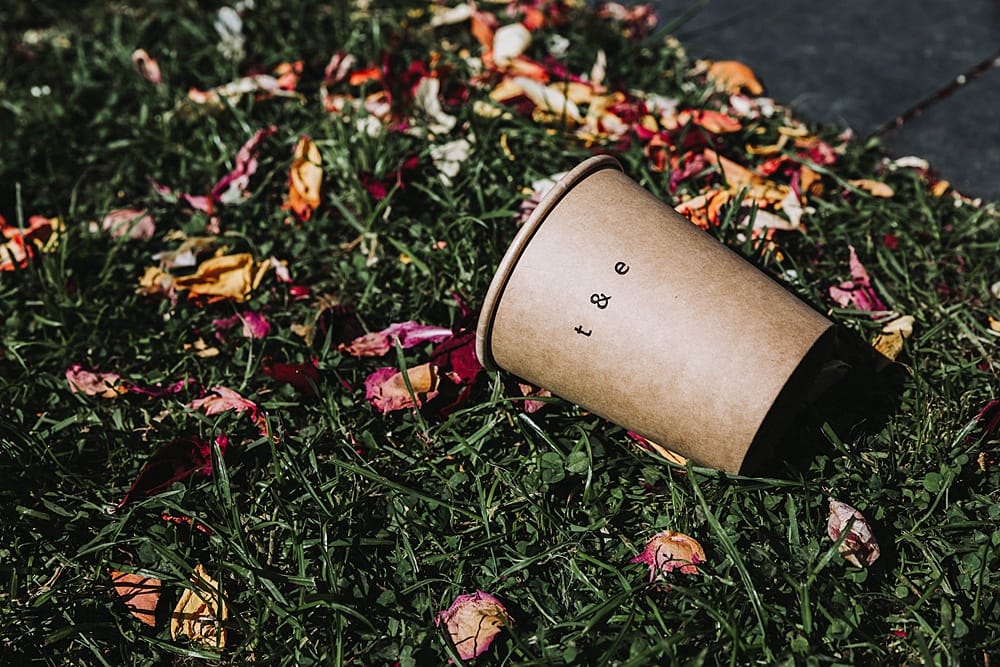 Image by <a class="text-p3" href="https://www.molliemcauslandphoto.com" target="_blank">Mollie McAusland Photography</a>.