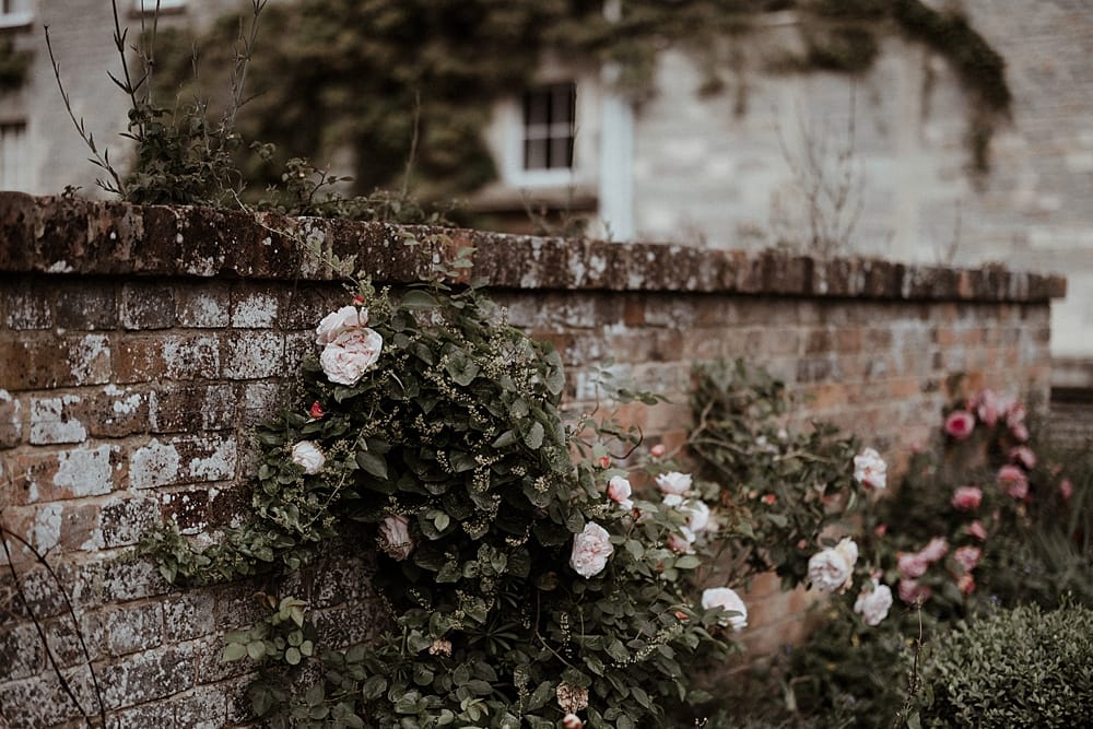 Image by <a class="text-p3" href="http://www.athinglikethatphotography.com" target="_blank">A Thing Like That Photography</a>.