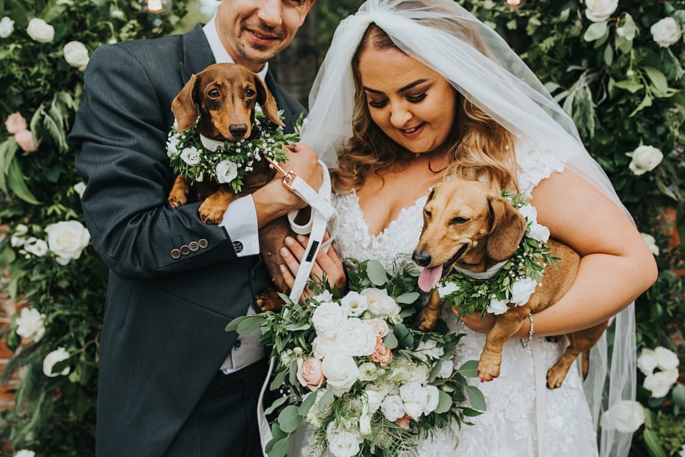 Image by <a class="text-p3" href="https://sophieannphotography.co.uk" target="_blank">Sophie Ann Photography</a>.